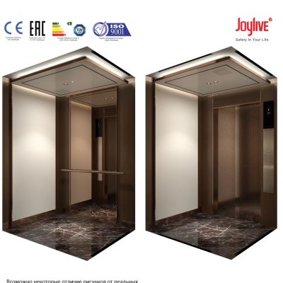 Thang máy Joylive ( China xuất EU)
